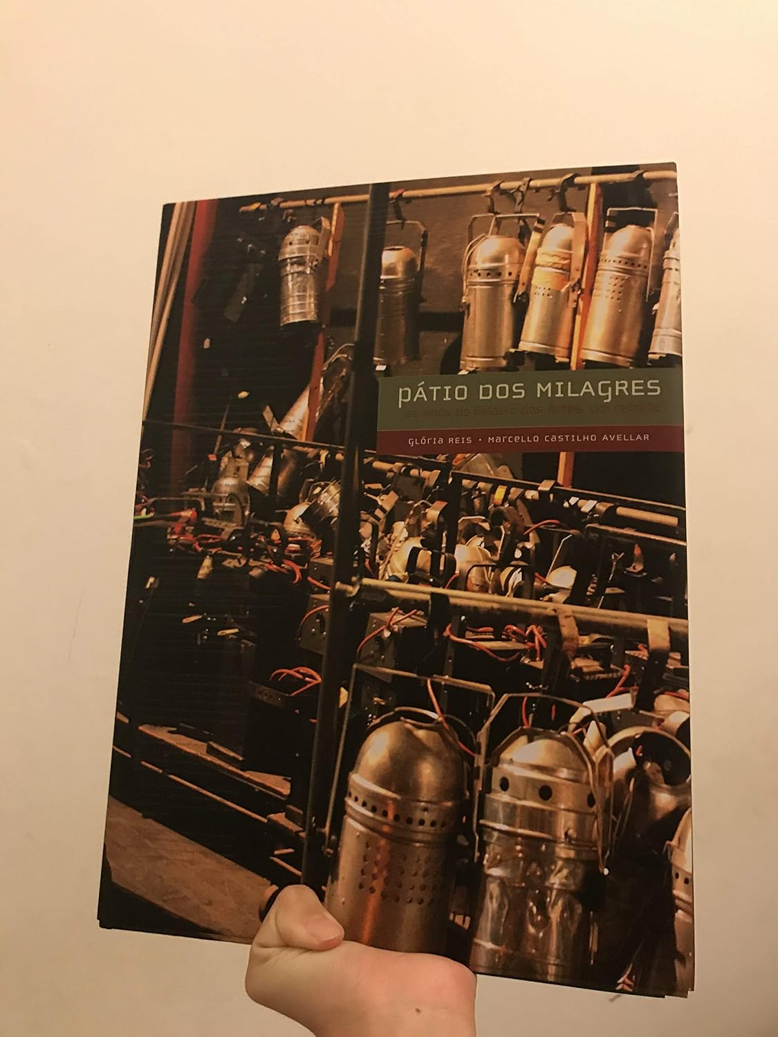 capítulo por capítulo baixar Pátio dos Milagres - 35 Anos do Palácio das Artes, Um Retrato