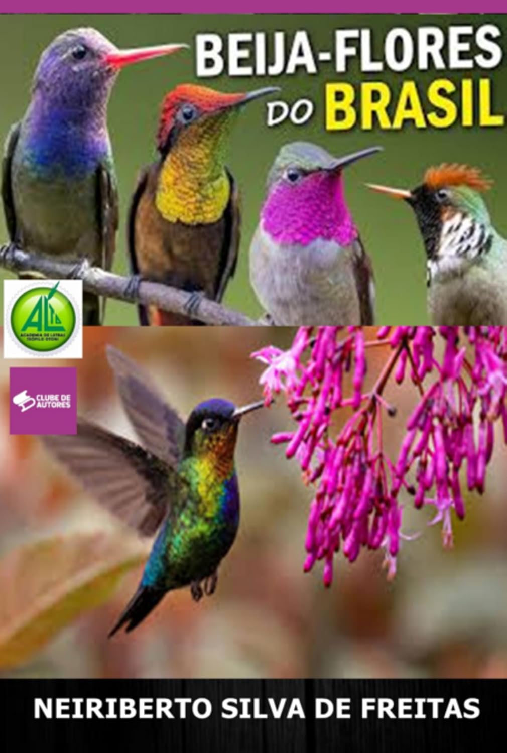 Beija - Flores Do Brasil baixar livro de graça