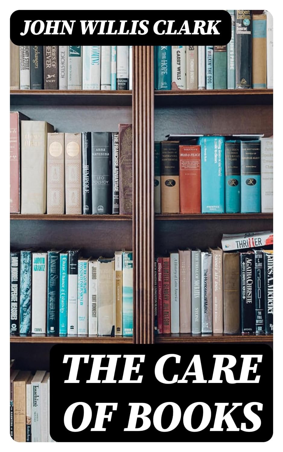The Care of Books (English Edition) baixar o livro de graça
