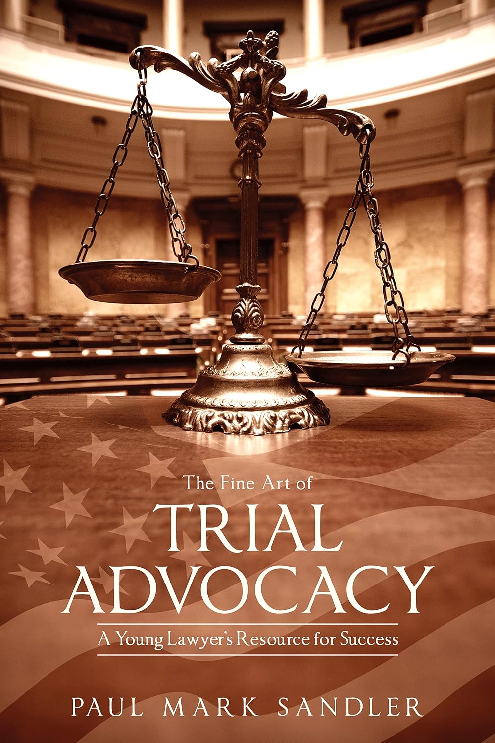 The Fine Art of Trial Advocacy: A Young Lawyer’s Resource for Success (English Edition) baixar o livro de graça