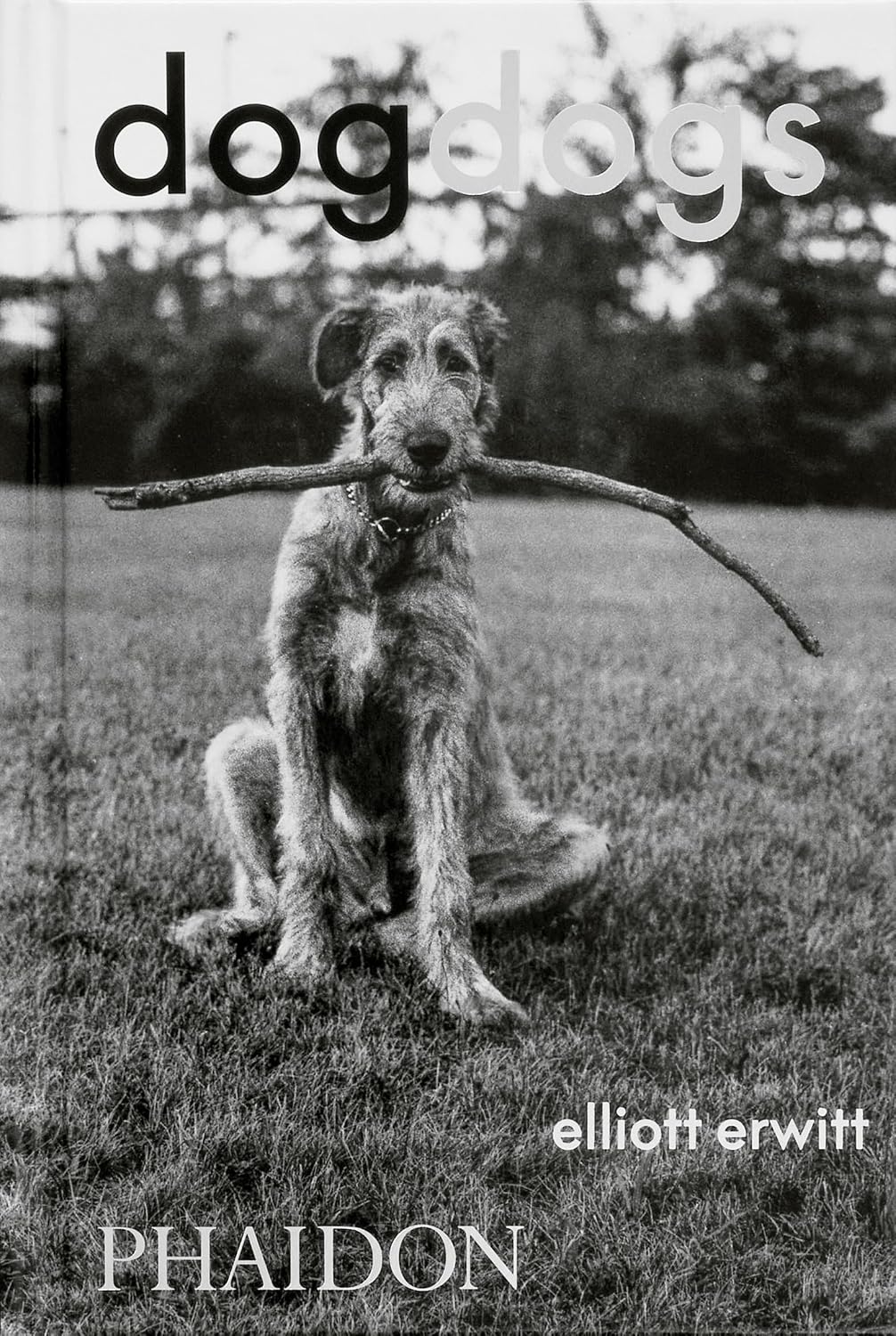 capítulo por capítulo baixar Dogdogs