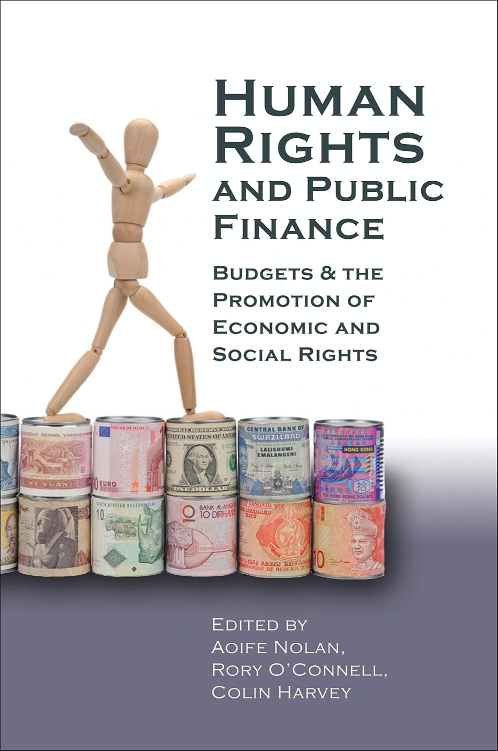 Human Rights and Public Finance: Budgets and the Promotion of Economic and Social Rights (Human Rights Law in Perspective) (English Edition) baixar livro de graça