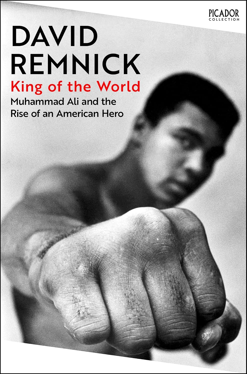 King of the World: Muhammad Ali and the Rise of an American Hero (Picador Classic Book 34) (English Edition) baixar livro de graça