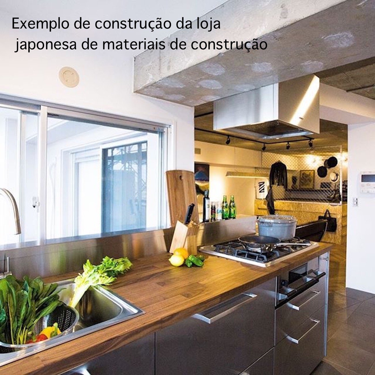 Exemplo de construção da loja japonesa de materiais de construção baixar livro de graça