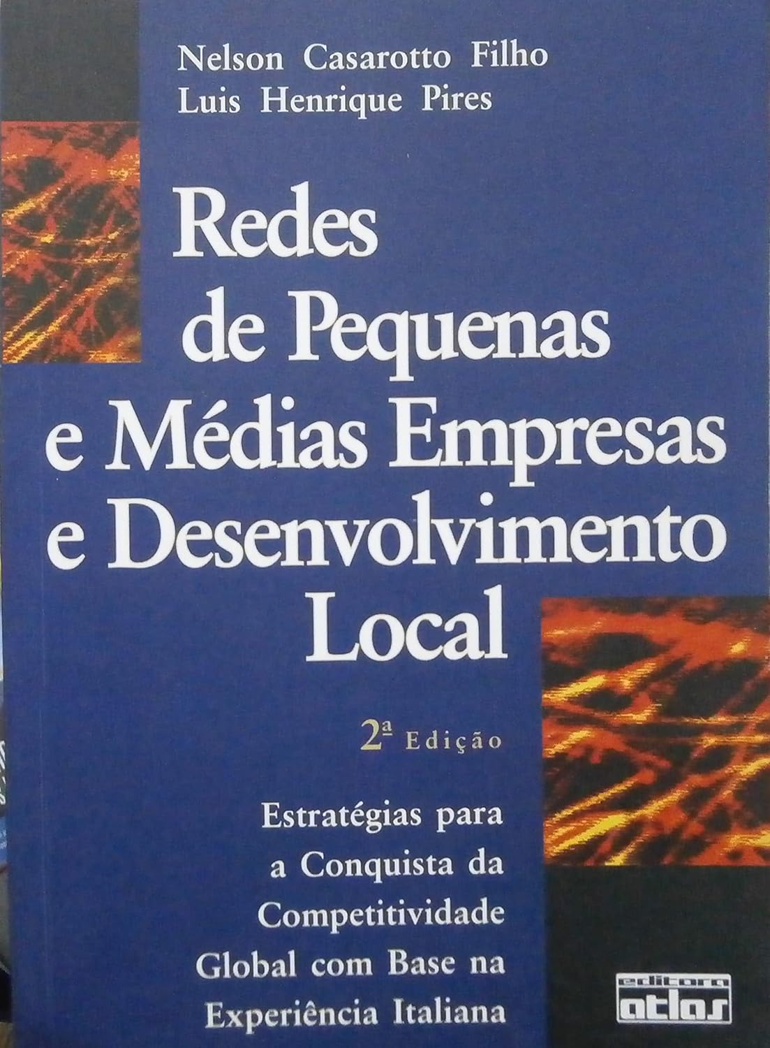Redes De Pequenas E Medias Empresas E Desenvolvimento Local baixar o livro de graça