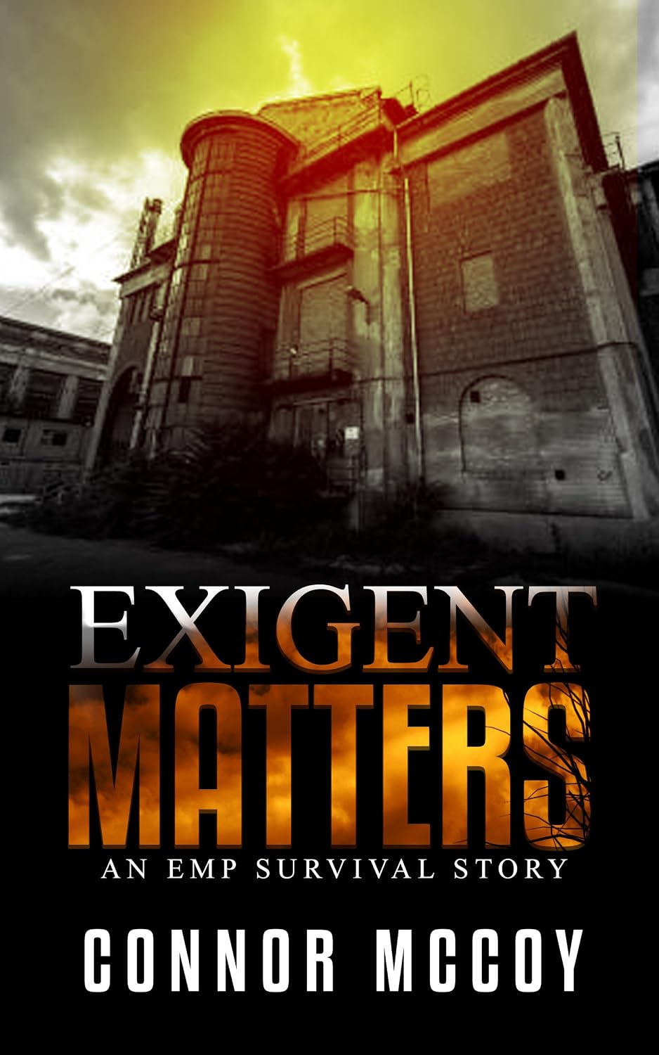 Exigent Matters: an EMP survival story (The Off Grid Survivor Book 2) (English Edition) baixar livro de graça