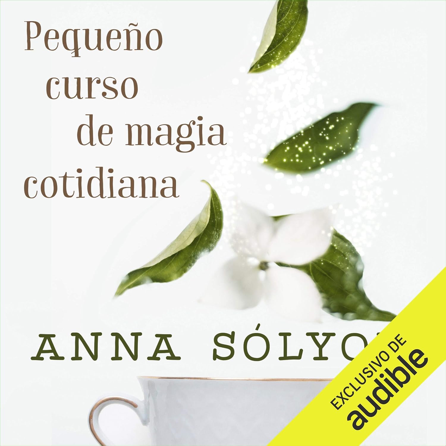 Pequeño Curso de Magia Cotidiana (Narración em Castellano) baixar livro de graça