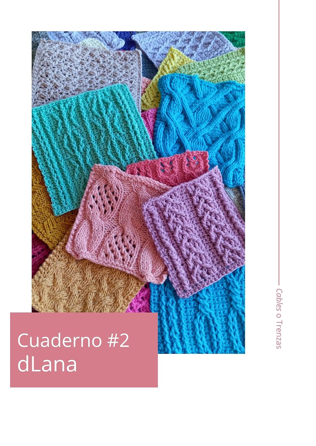 TRENZAS A CROCHET Y DOS AGUJAS: Muestrario de puntos (Cuadernos tejeriles) (Spanish Edition) baixar o livro de graça