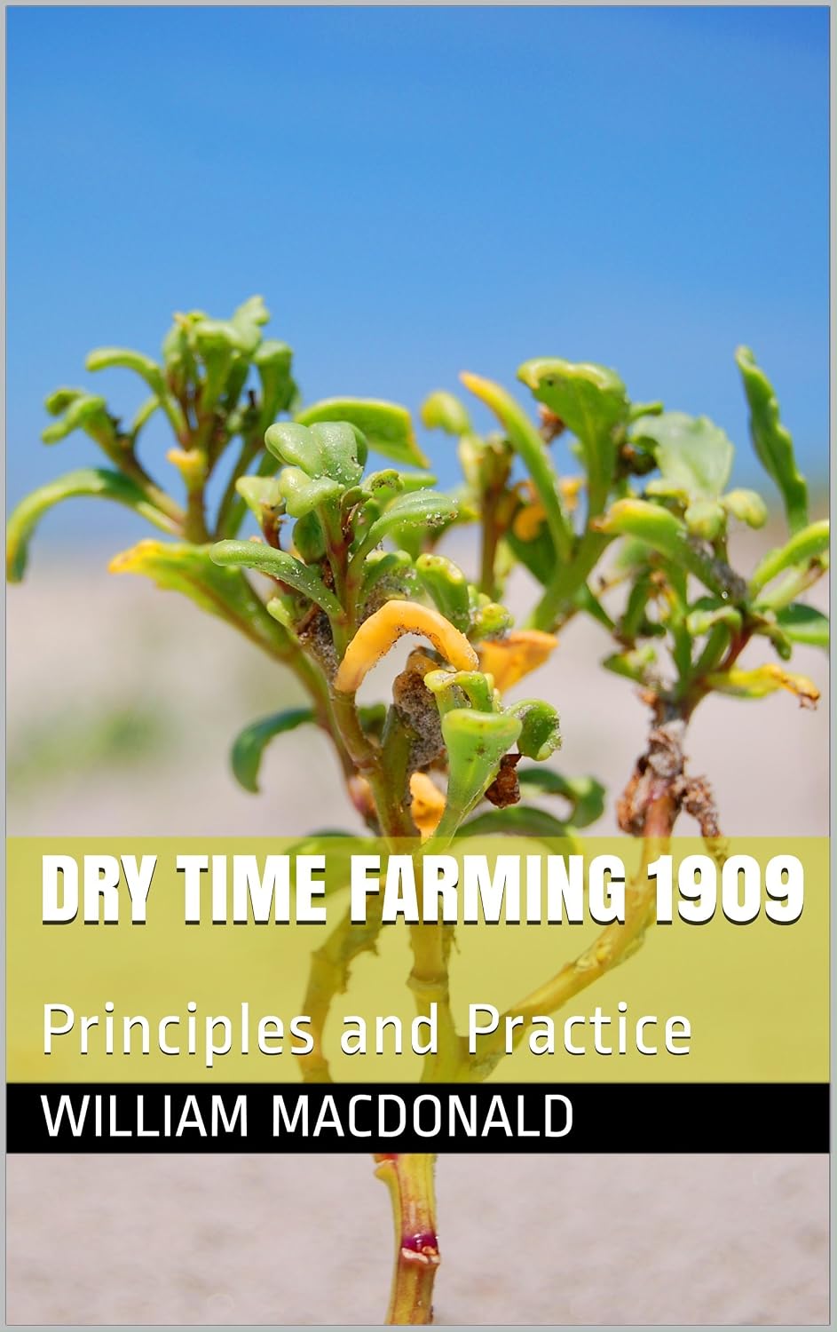 ler totalmente DRY TIME FARMING 1909: Principles and Practice (OLDE BOOKS BY MAX) (English Edition)