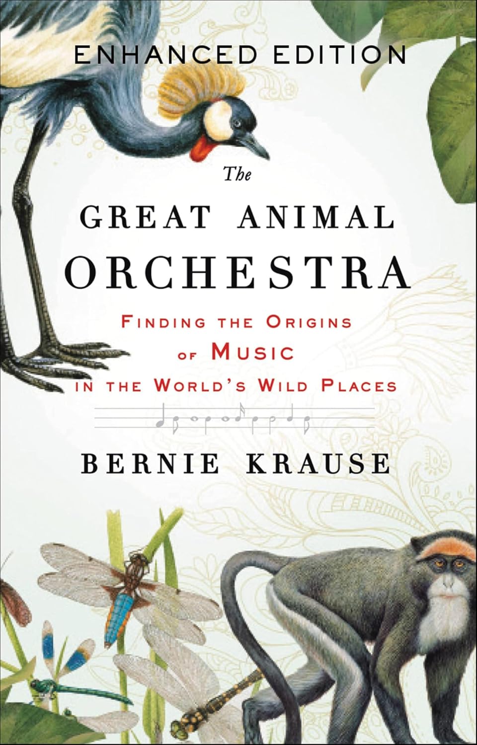 The Great Animal Orchestra: Finding the Origins of Music in the World's Wild Places (English Edition)