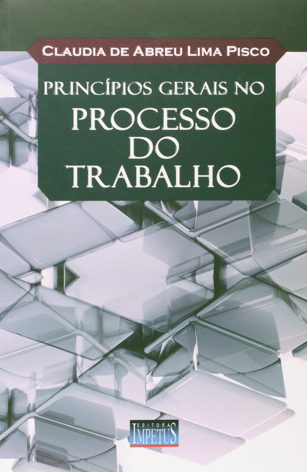 Princípios Gerais no Processo do Trabalho baixar o livro de graça