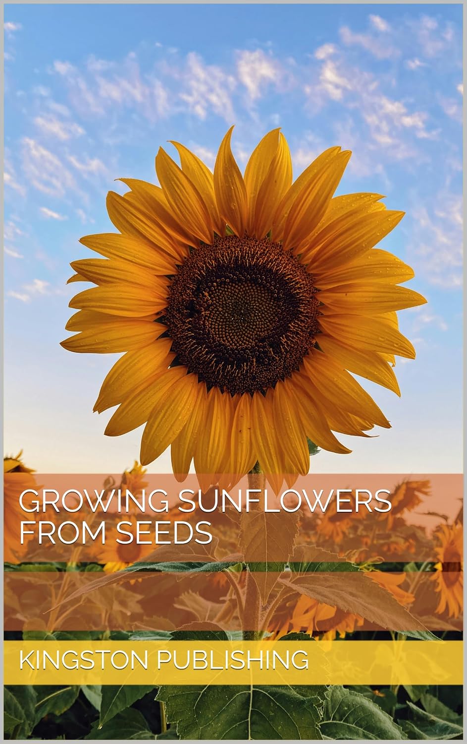 Growing Silky Sunflowers From Seeds (Growing Flowers) (English Edition) baixar livro de graça