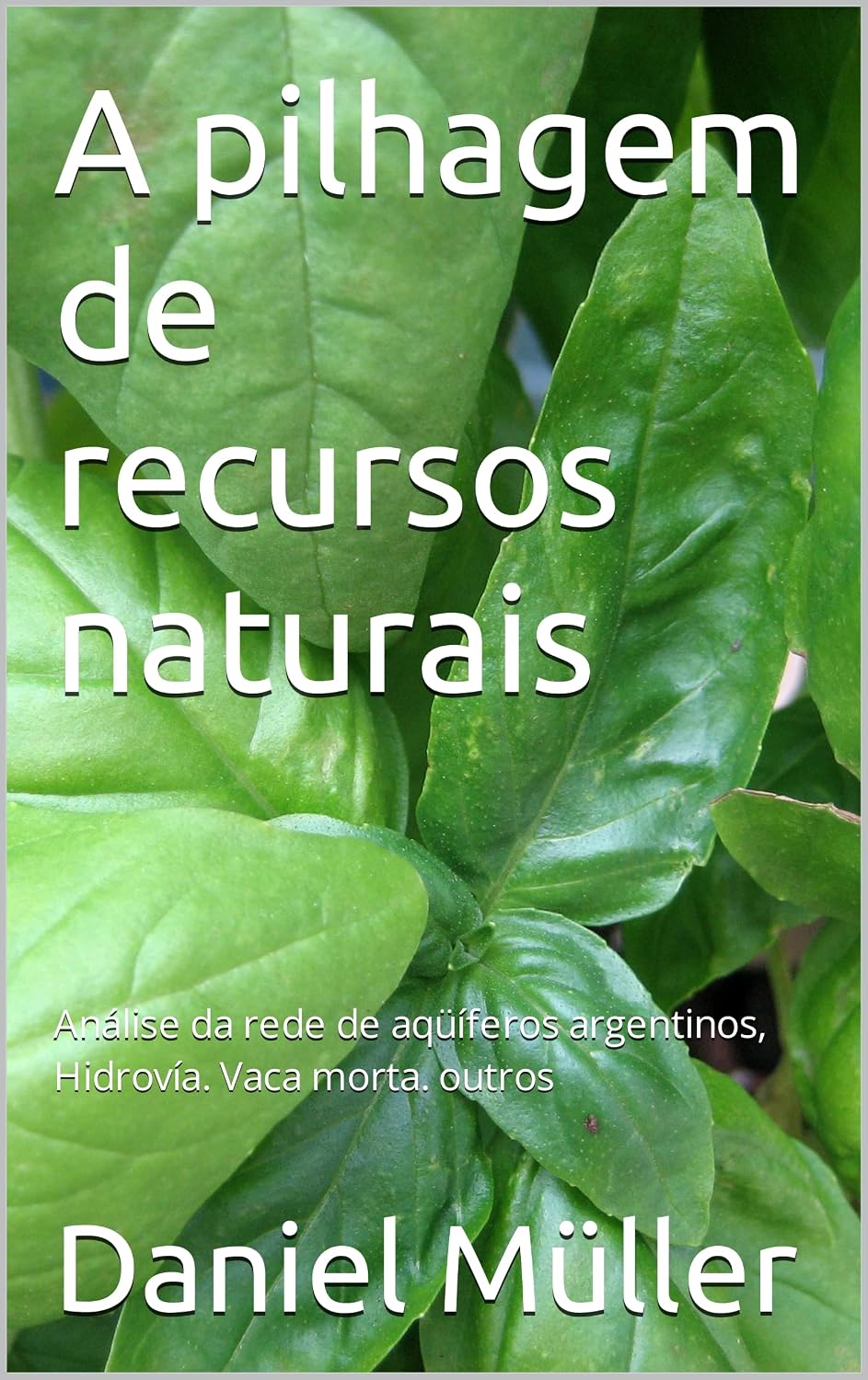A pilhagem de recursos naturais: Análise da rede de aqüíferos argentinos, Hidrovía. Vaca morta. outros (RECOPILACION EN IDIOMA EXTRANJERO) baixar livro de graça