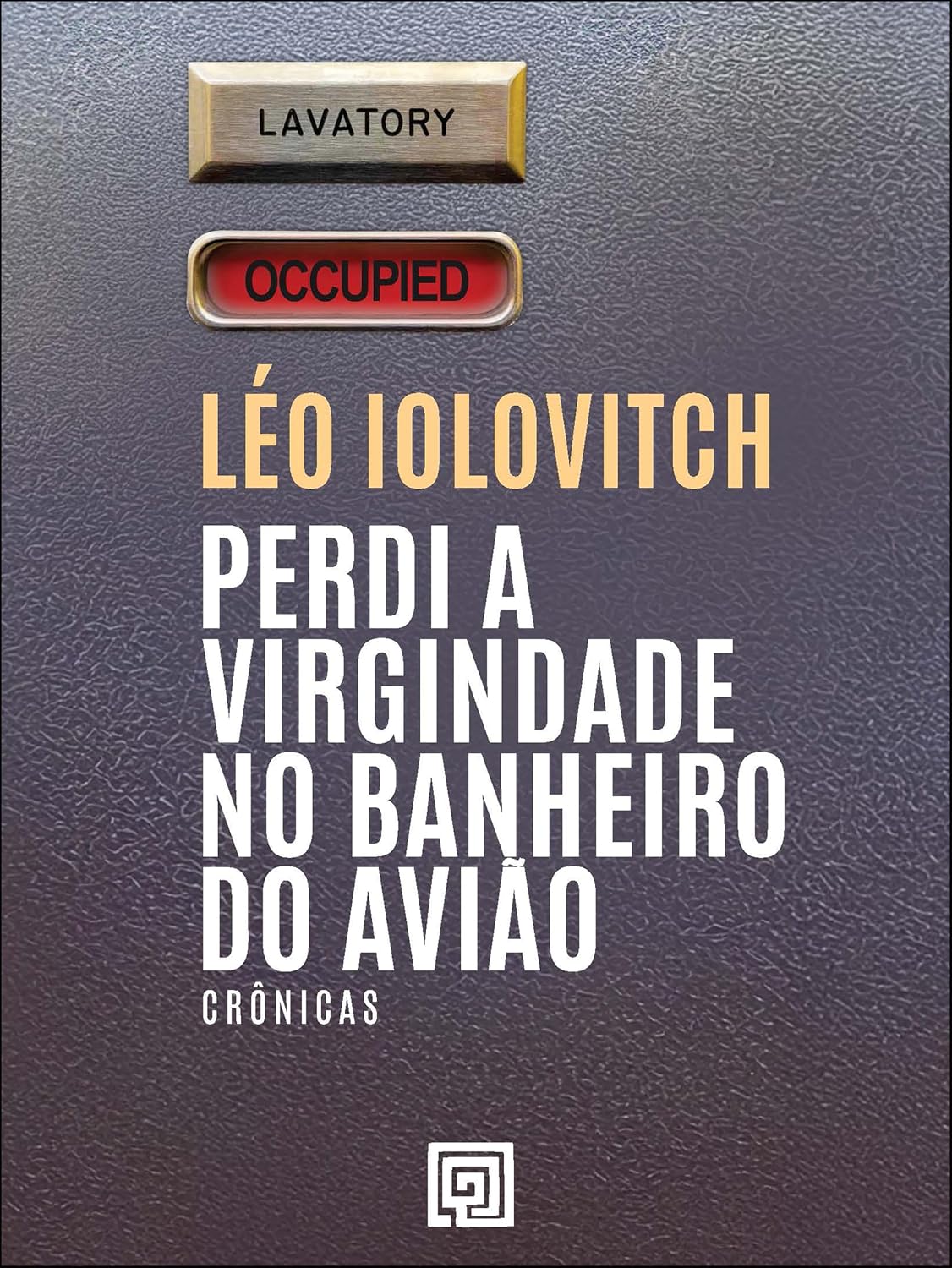 Perdi a virgindade no banheiro do avião: crônicas baixar o livro de graça