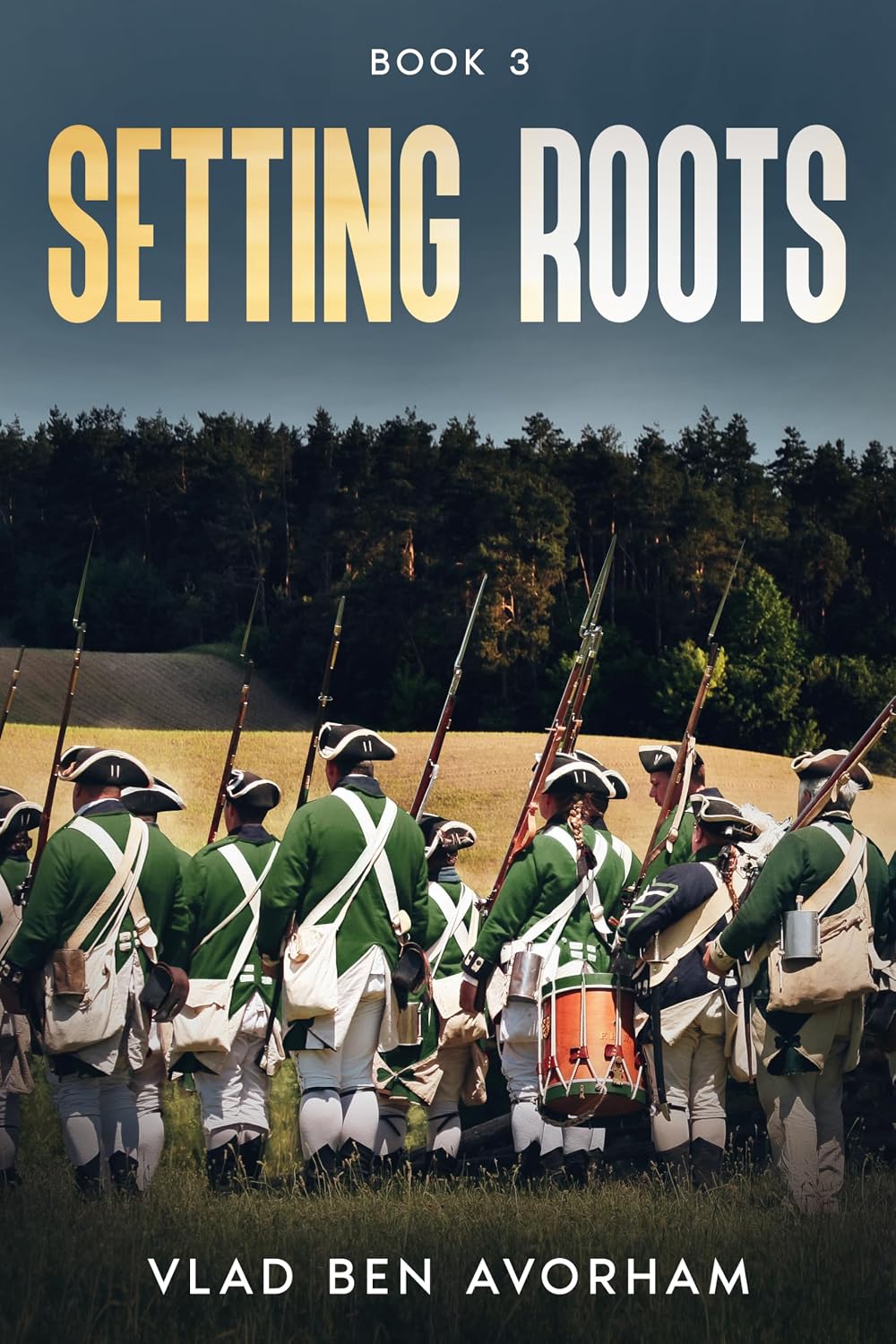 Setting Roots: Book 3 (Stranded) (English Edition)