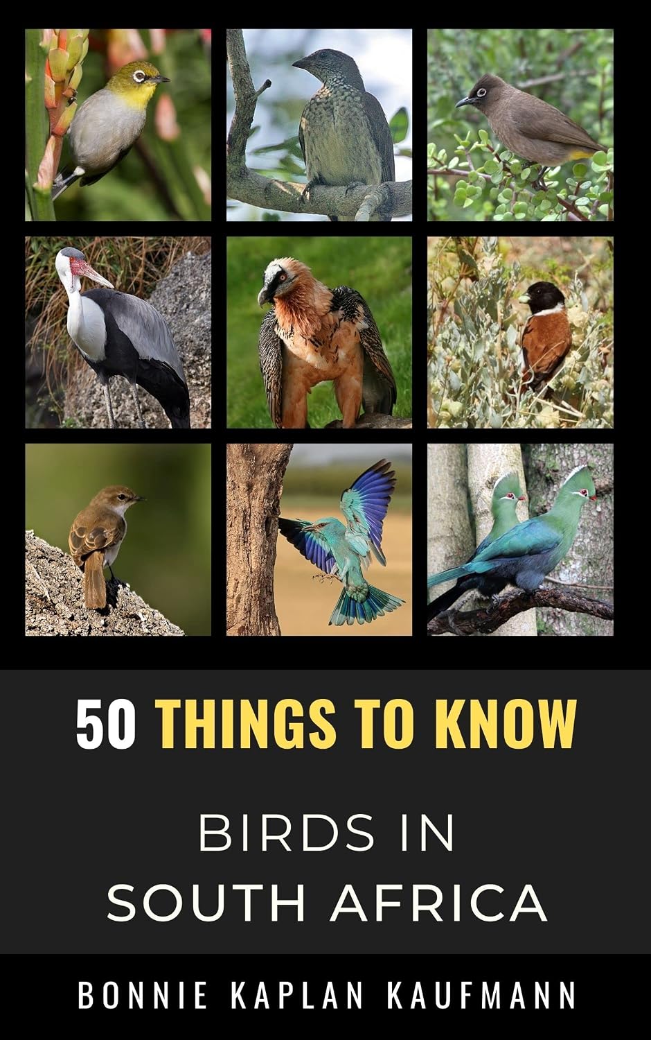 50 Things to Know About Birds in South Africa: Birdwatching Guide, Bird Identification, Local Species, Nature Facts, Backyard Birds, & Wildlife (50 Things... and regional bird books) (English Edition) baixar o livro de graça
