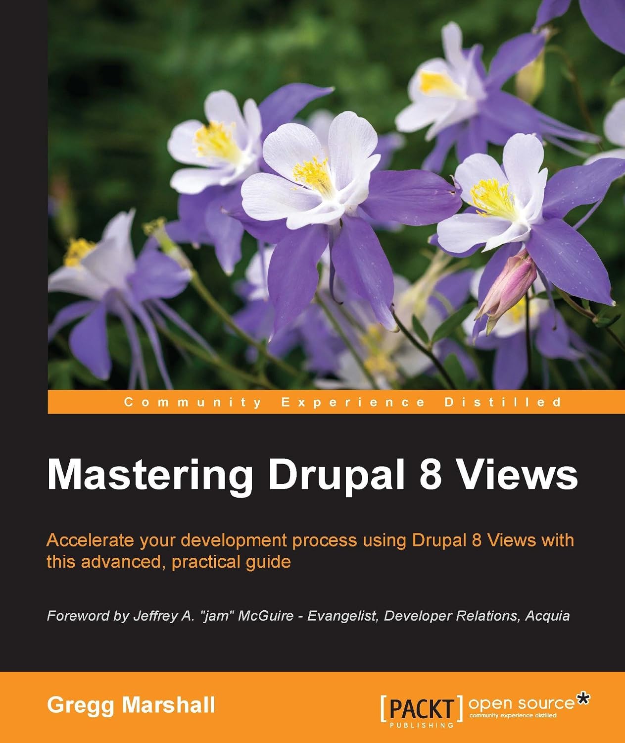 Mastering Drupal 8 Views (English Edition) baixar o livro de graça