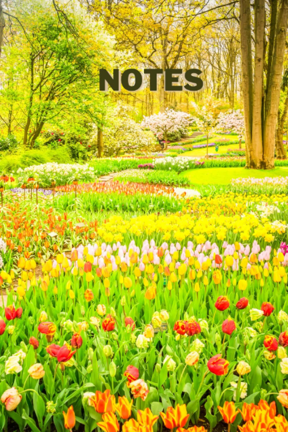 ler totalmente Cahier de notes motif jardin floral (fleurs de printemps): Carnet de notes fantaisie et original pour les passionnés (French Edition)