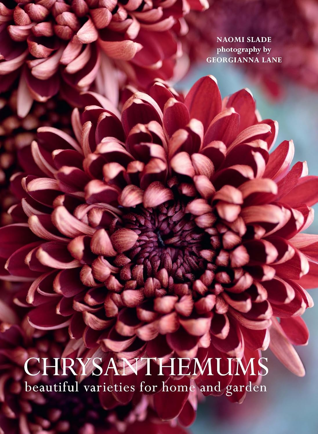 Chrysanthemums: Beautiful Varieties for Home and Garden baixar livro de graça