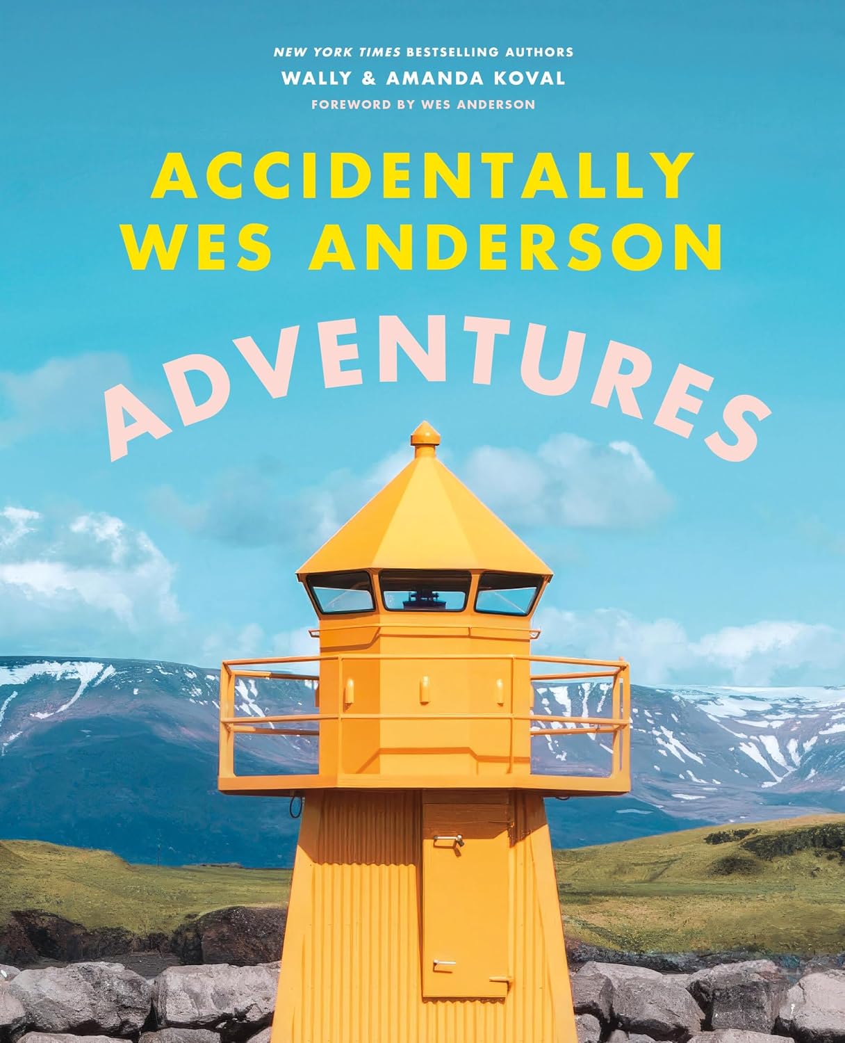 Accidentally Wes Anderson: Adventures baixar o livro de graça