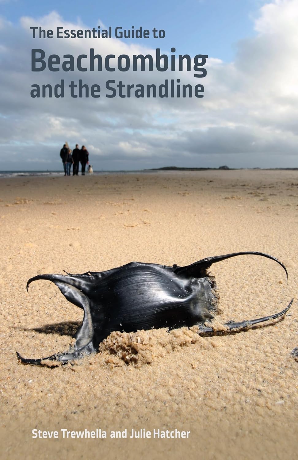 The Essential Guide to Beachcombing and the Strandline: 4