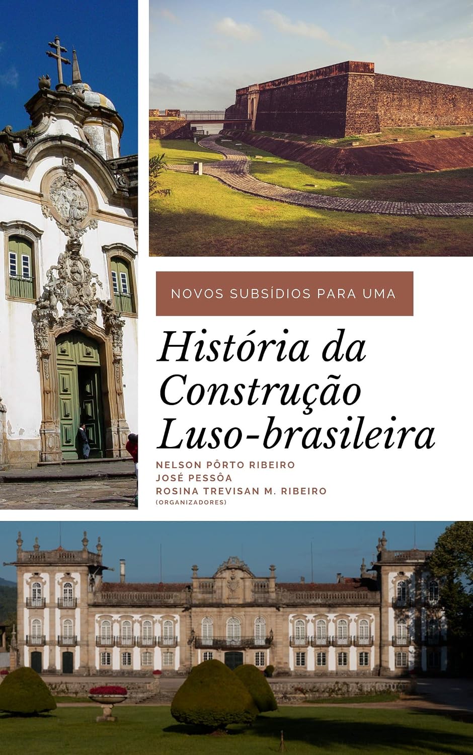 Novos subsídios para uma história da construção luso-brasileira baixar o livro de graça