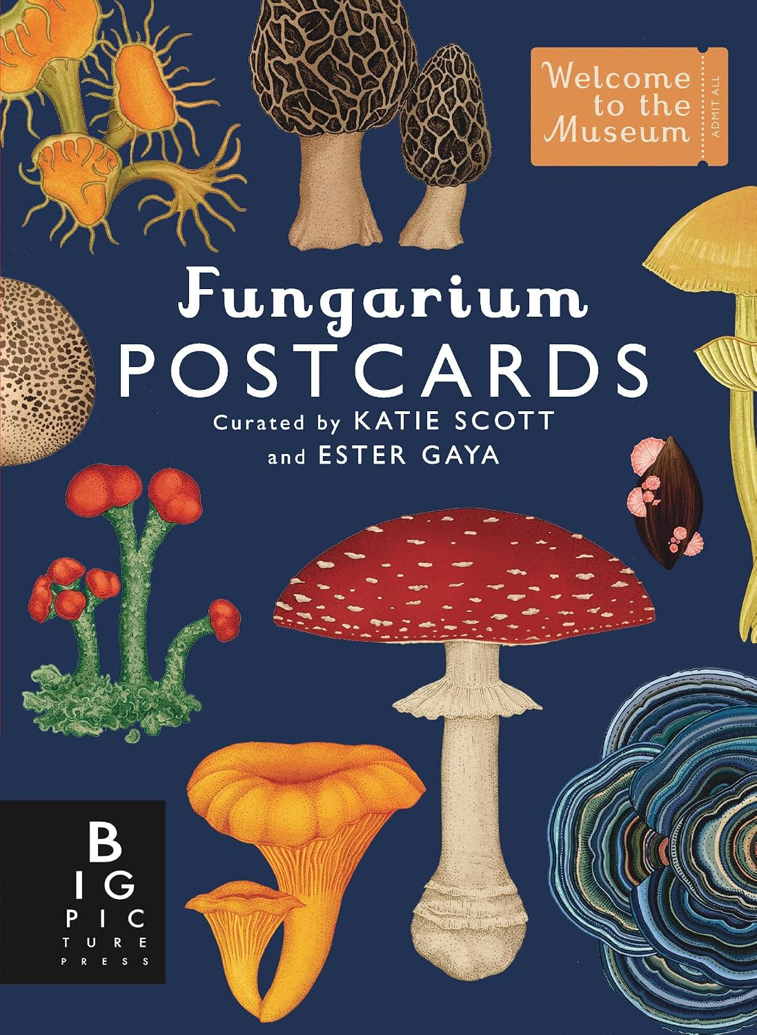 ler totalmente Fungarium Postcard Box Set