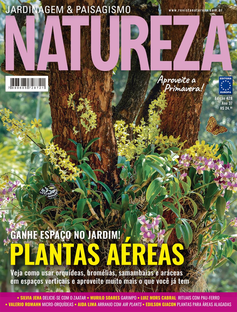 Revista Natureza 428 baixar livro de graça
