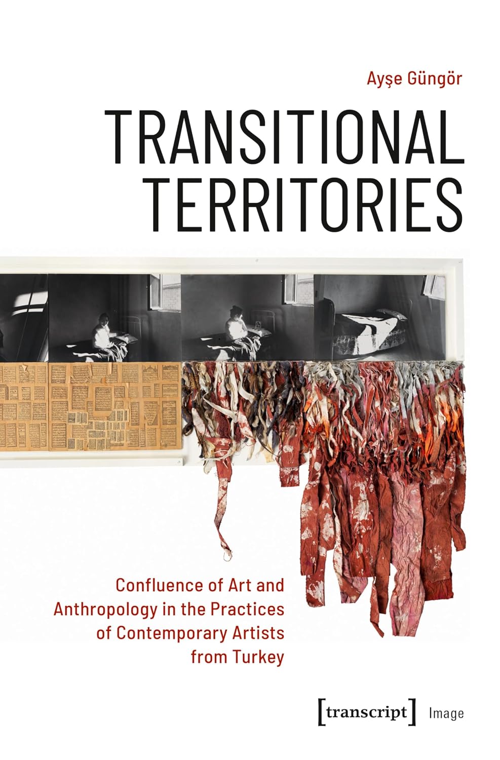 Transitional Territories: Confluence of Art and Anthropology in the Practices of Contemporary Artists from Turkey (Image Book 204) (English Edition) baixar o livro de graça