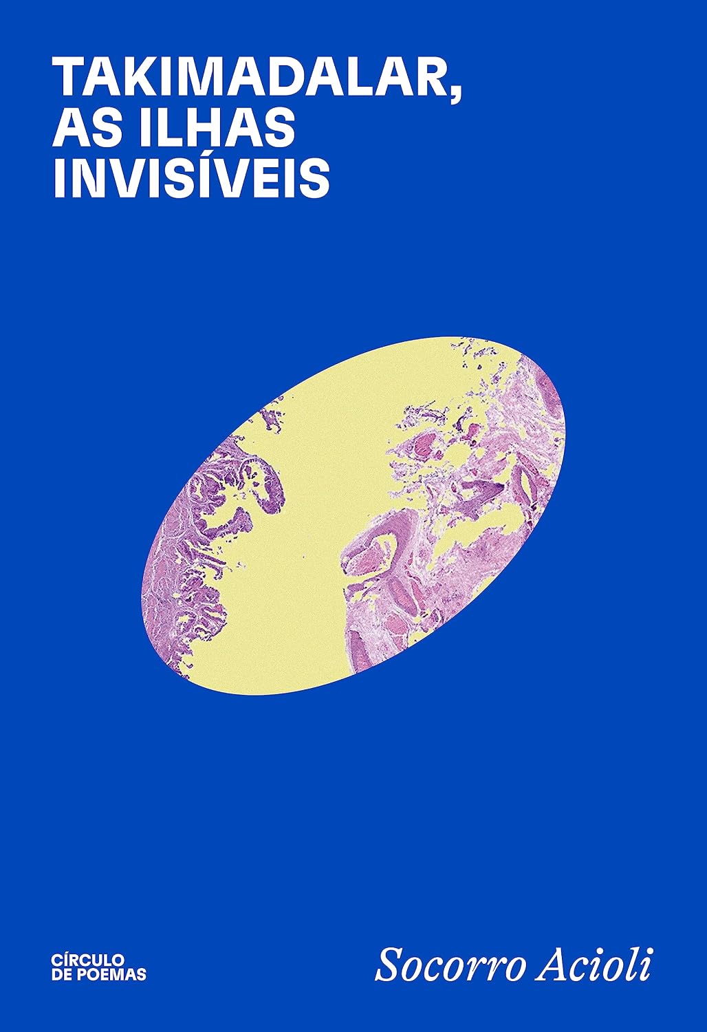 Takimadalar, as ilhas invisíveis baixar o livro de graça
