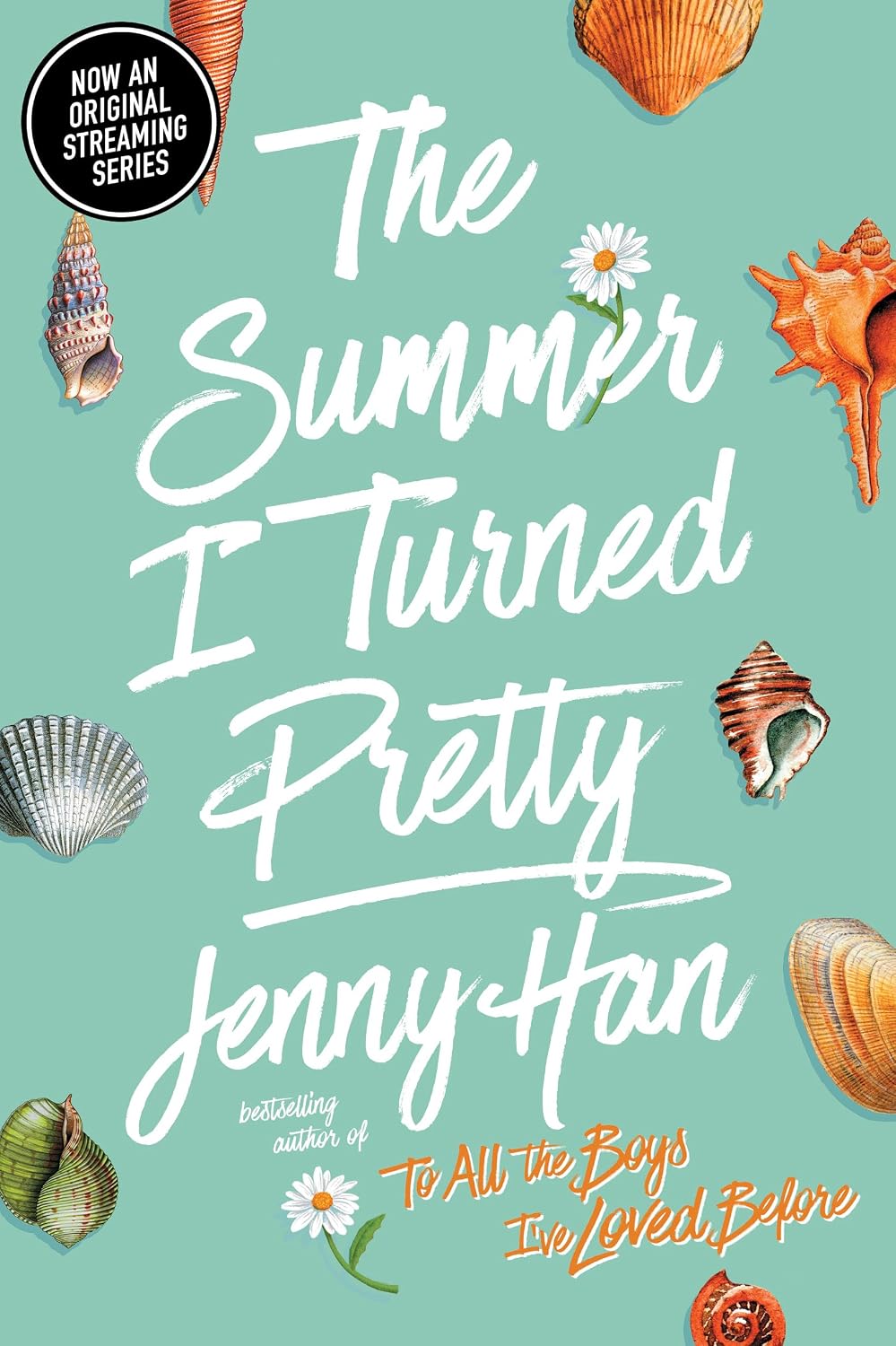 The Summer I Turned Pretty: 1 baixar livro de graça