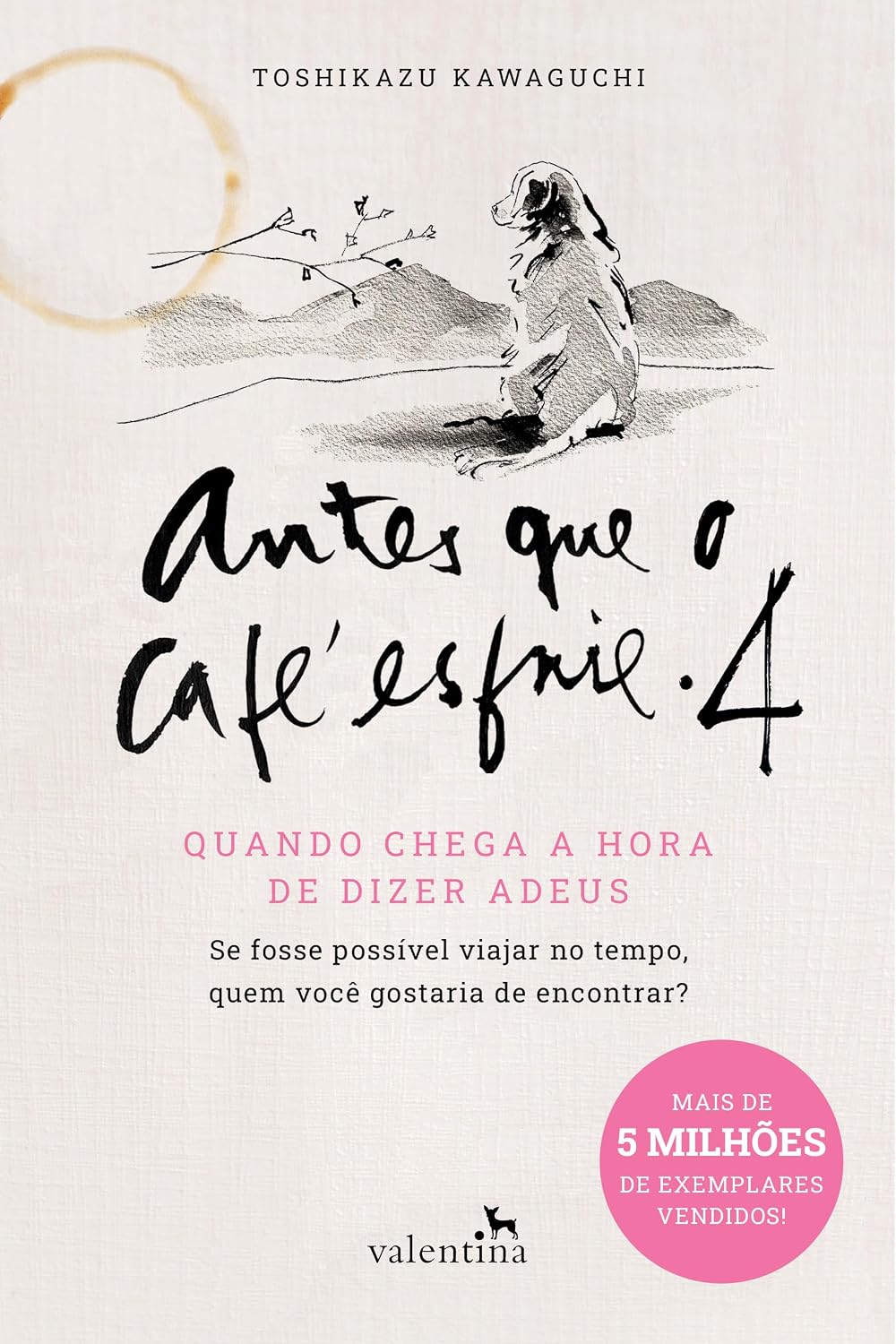 Antes que o Café esfrie 4: Quando chega a hora de dizer Adeus baixar livro de graça