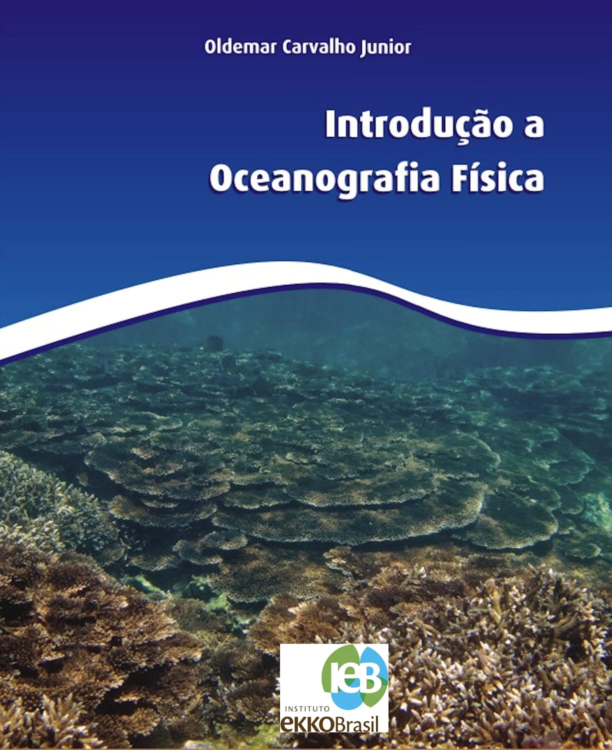 ler totalmente Introdução a Oceanografia Física
