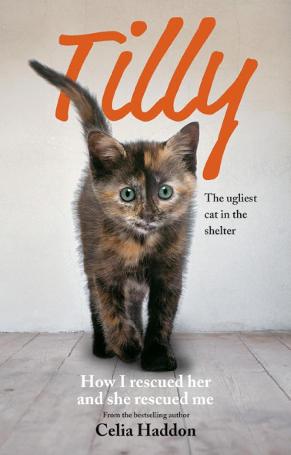 ler totalmente Tilly: The Ugliest Cat: How I Rescued Her and She Rescued Me (English Edition)