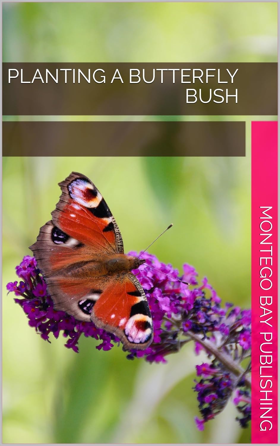 capítulo por capítulo baixar Planting A Butterfly Bush (Growing Flowers) (English Edition)