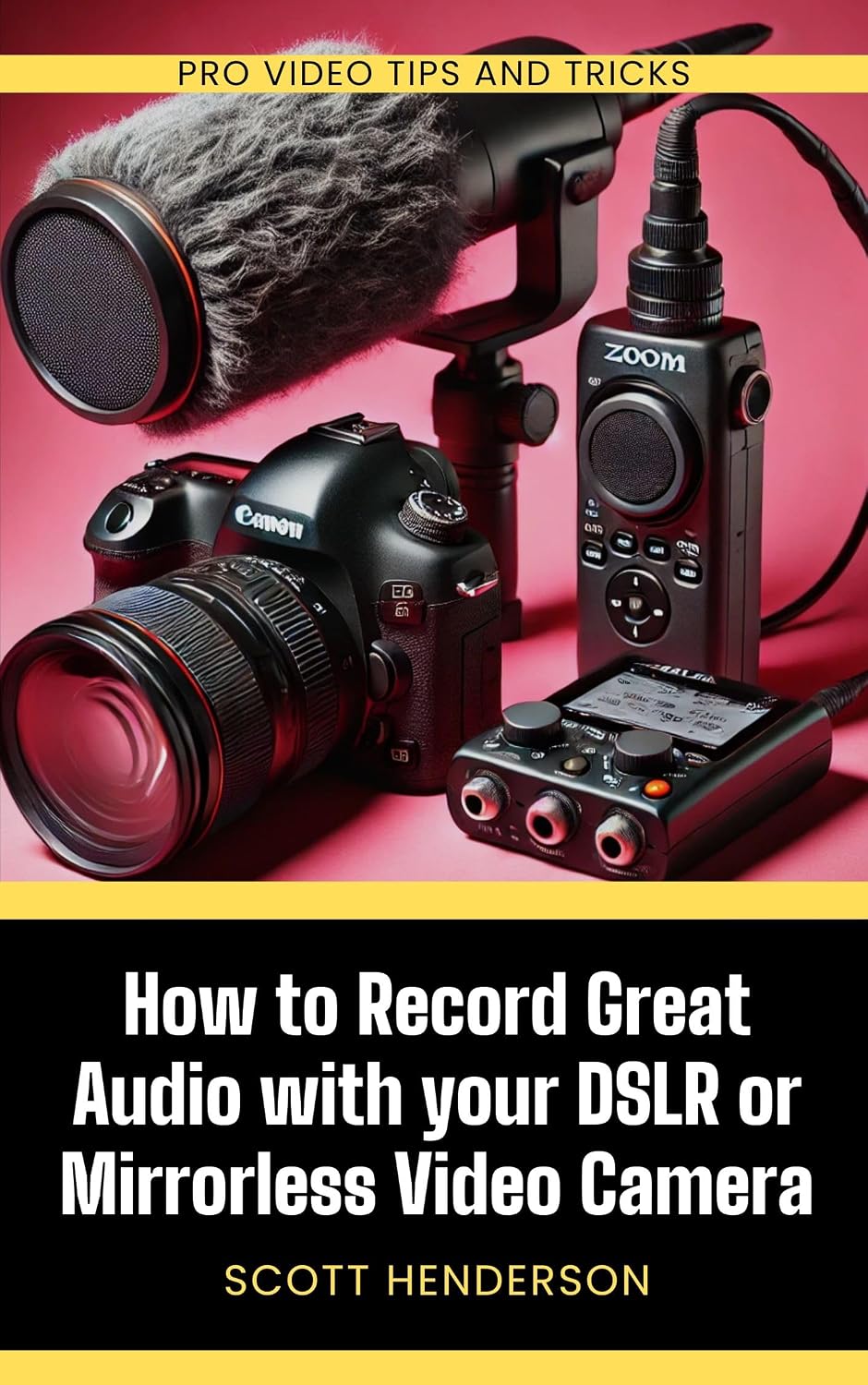 ler totalmente How to Record Great Audio with your DSLR or Mirrorless Video Camera: Pro video tips and tricks (English Edition)