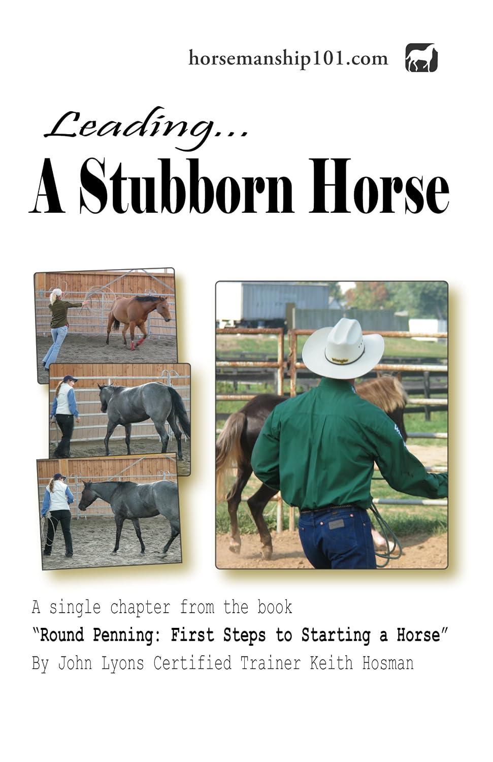 Leading a Stubborn Horse (Round Penning Book 8) (English Edition) baixar o livro de graça