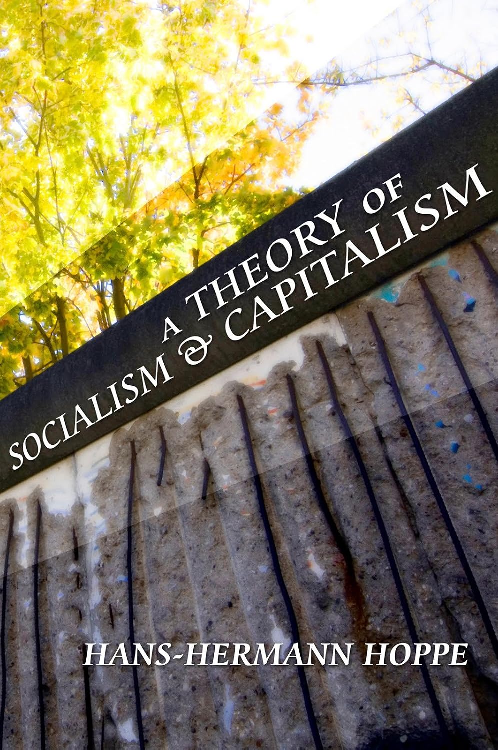 capítulo por capítulo baixar A Theory of Socialism and Capitalism (LvMI) (English Edition)