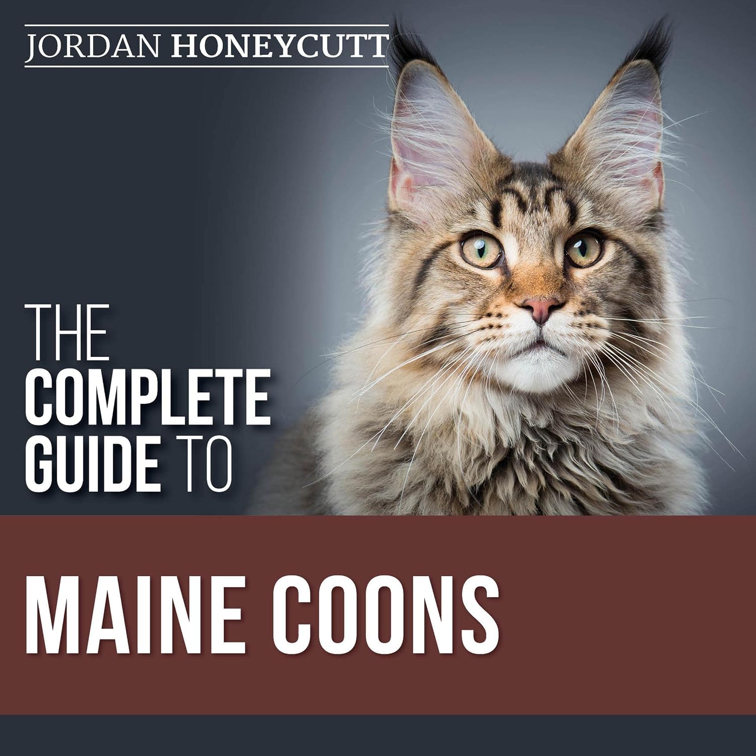 The Complete Guide to Maine Coons: Finding, Preparing for, Feeding, Training, Socializing, Grooming, and Loving Your New Maine Coon Cat baixar o livro de graça
