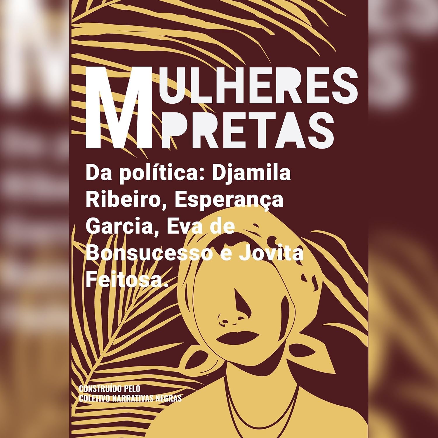 Mulheres pretas da política Eva de Bonsucesso, Jovita Feitosa, Esperança Garcia e Djamila Ribeiro baixar o livro de graça