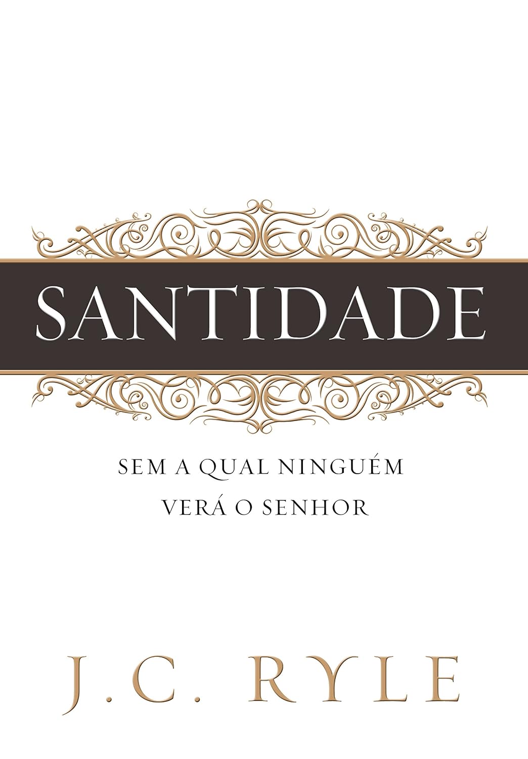ler totalmente Santidade