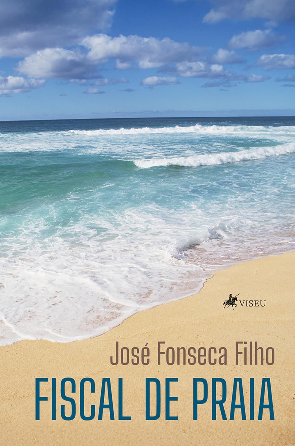 Fiscal de praia baixar livro de graça