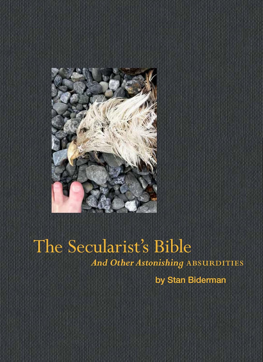 capítulo por capítulo baixar The Secularist's Bible: And Other Astonishing Absurdities (English Edition)