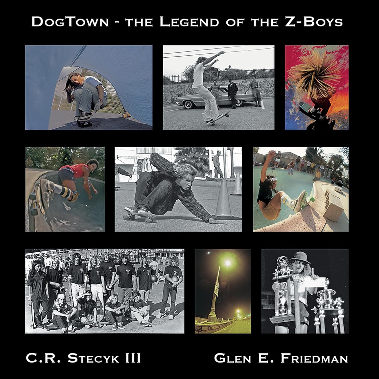 Dogtown: The Legend of the Z-Boys baixar o livro de graça