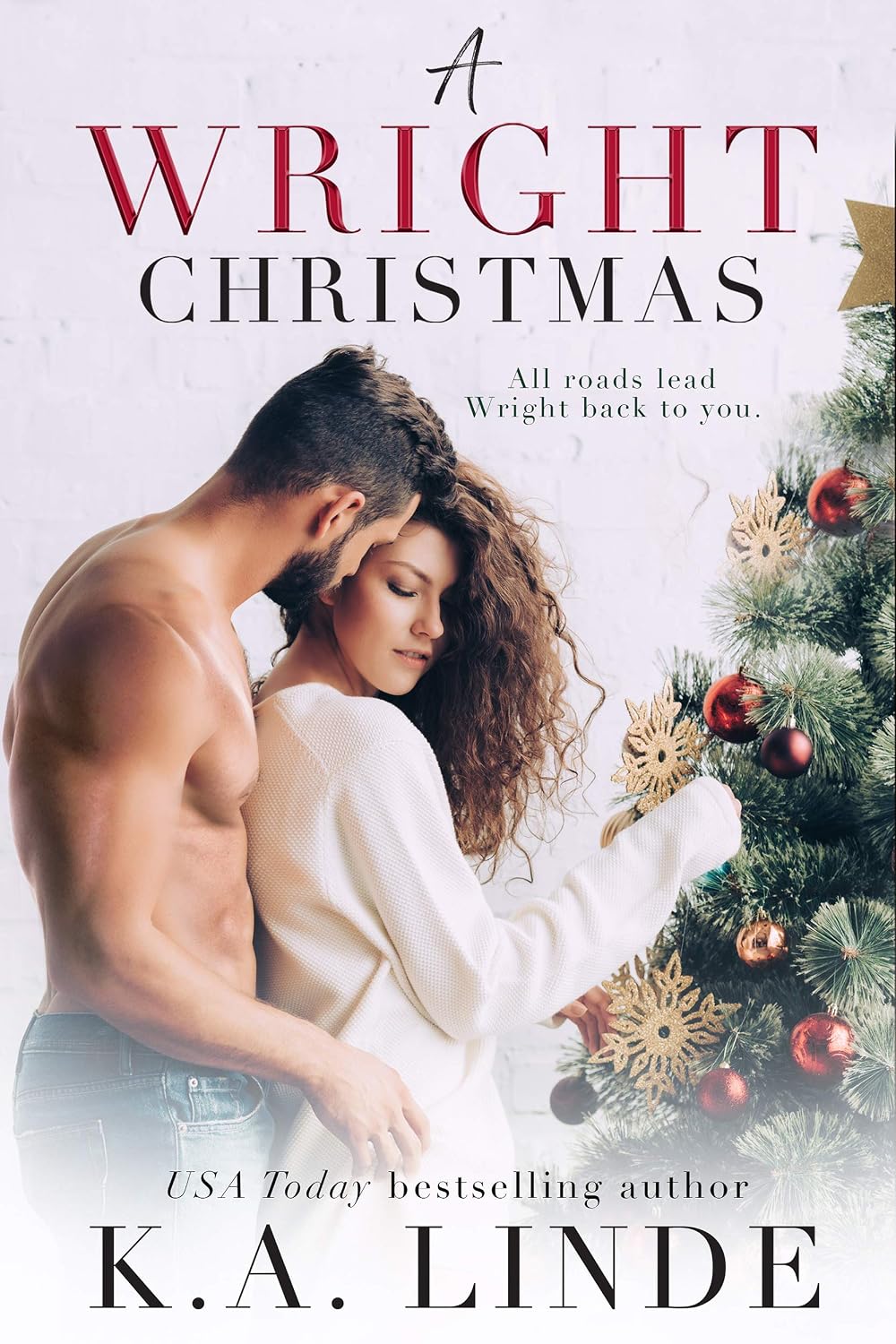 A Wright Christmas: A Single Dad Holiday Romance (Wright series Book 7) (English Edition) baixar o livro de graça