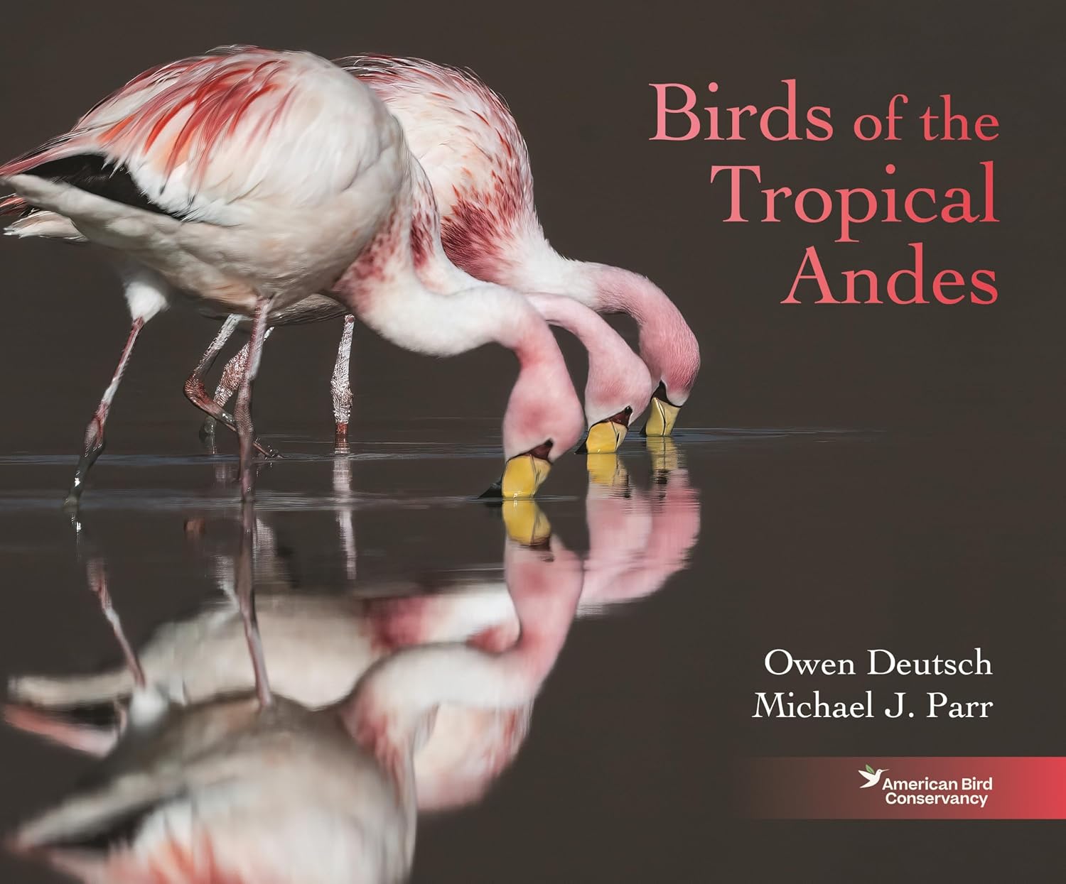 Birds of the Tropical Andes baixar o livro de graça