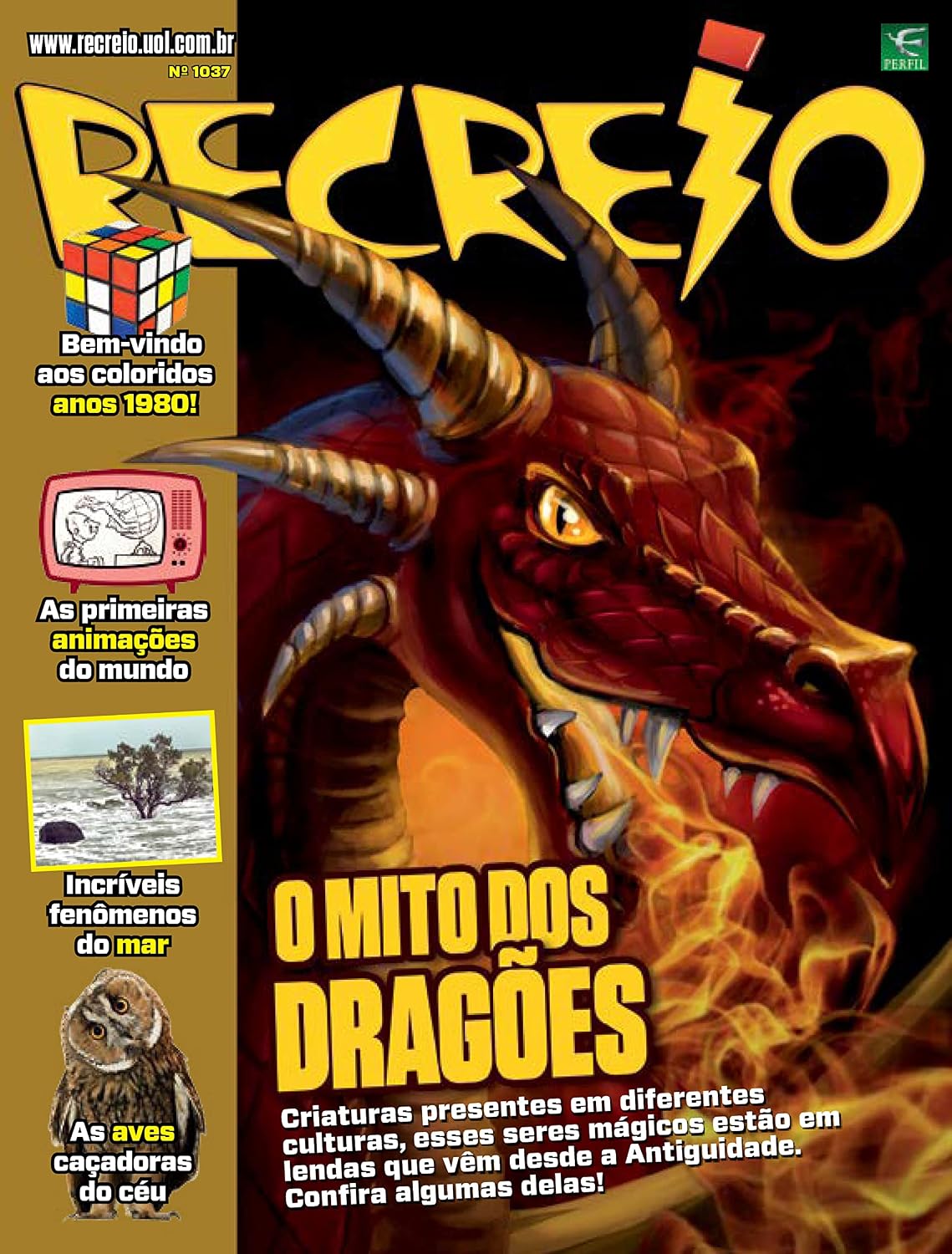 Revista Recreio - 09/08/2022 baixar livro de graça