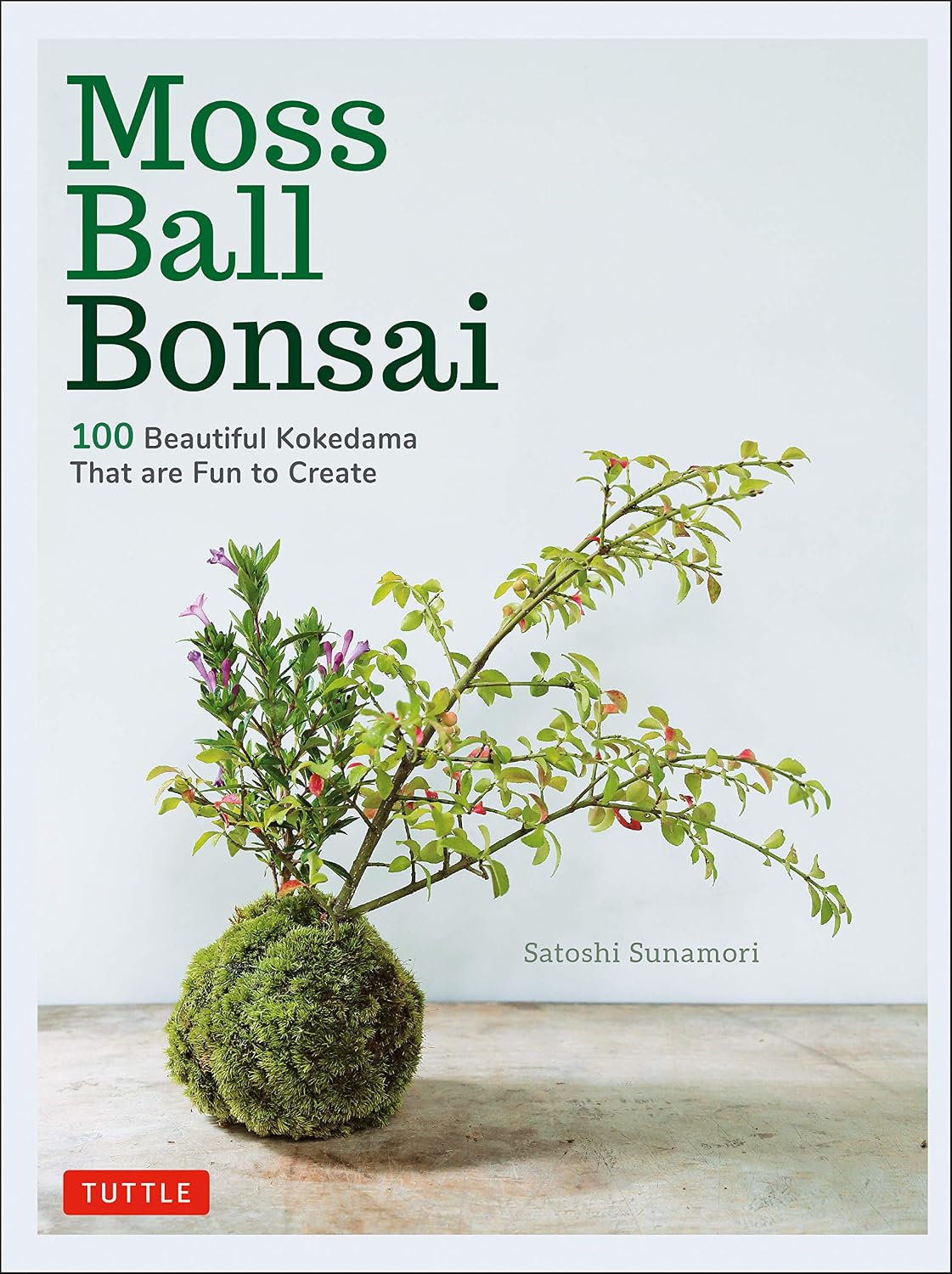Moss Ball Bonsai: 100 Beautiful Kokedama That are Fun to Create (English Edition) baixar o livro de graça