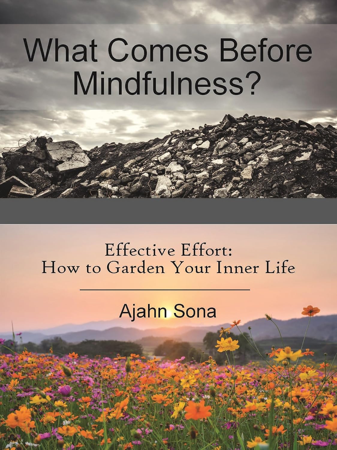 ler totalmente What Comes Before Mindfulness?: Effective Effort: How to Garden Your Inner Life (English Edition)