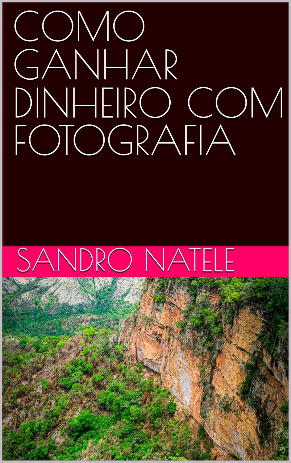 COMO GANHAR DINHEIRO COM FOTOGRAFIA baixar o livro de graça